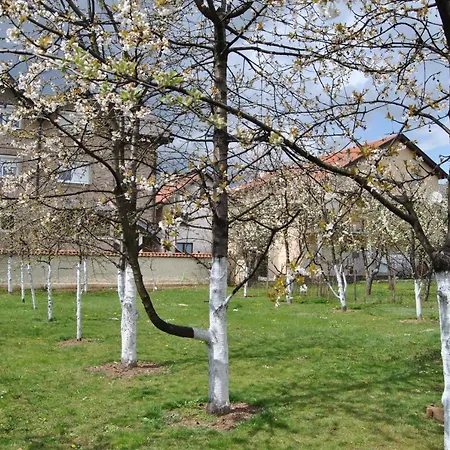 Penny Lägenhet Sarajevo